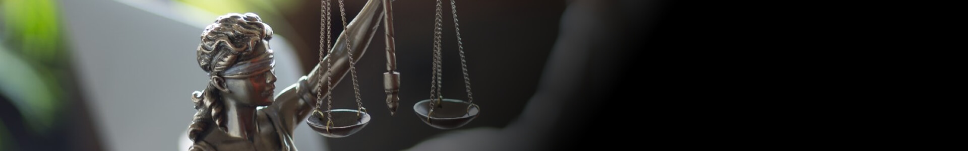 banner image